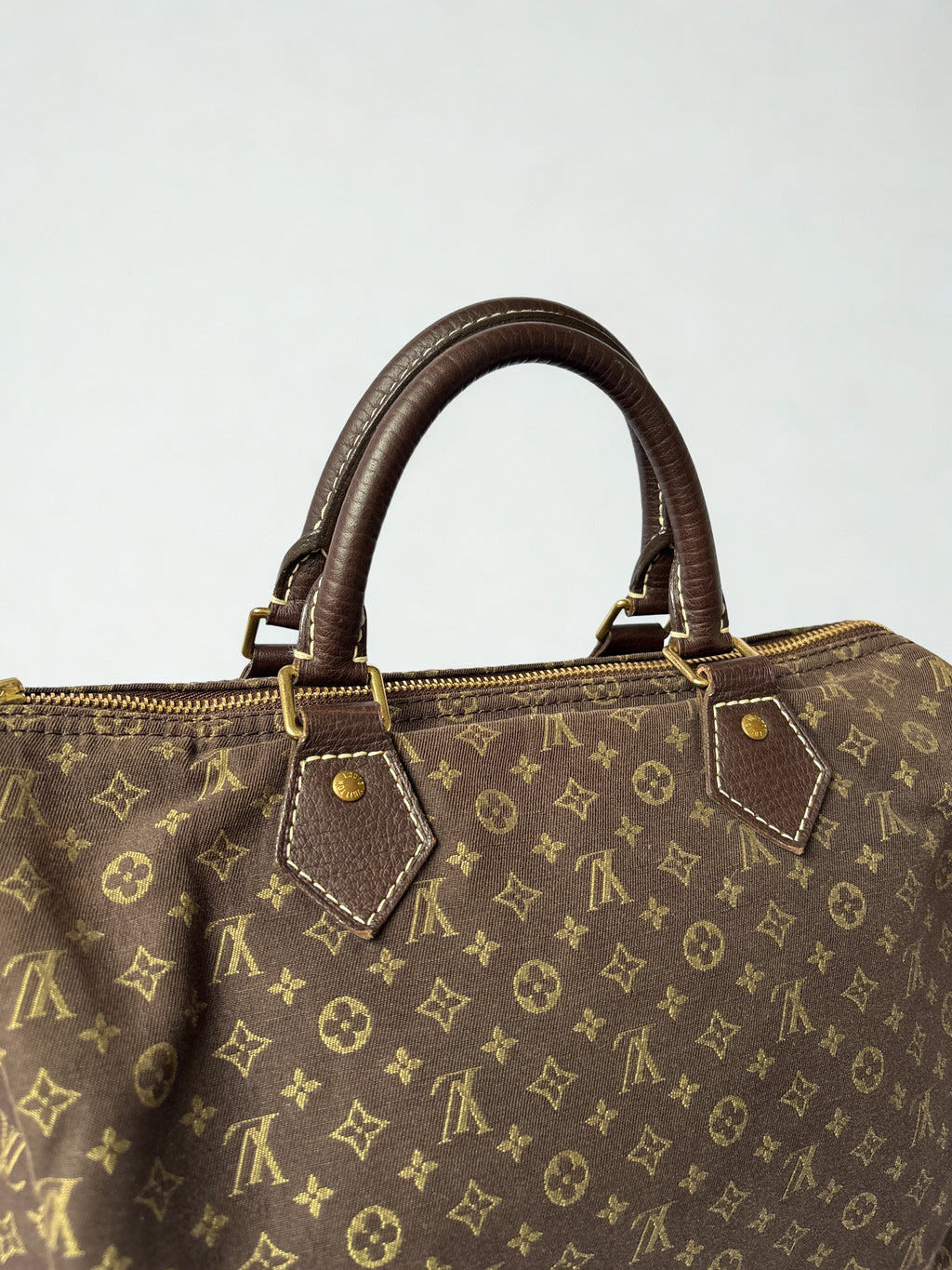 Louis Vuitton Monogram Mini Lin Speedy 30