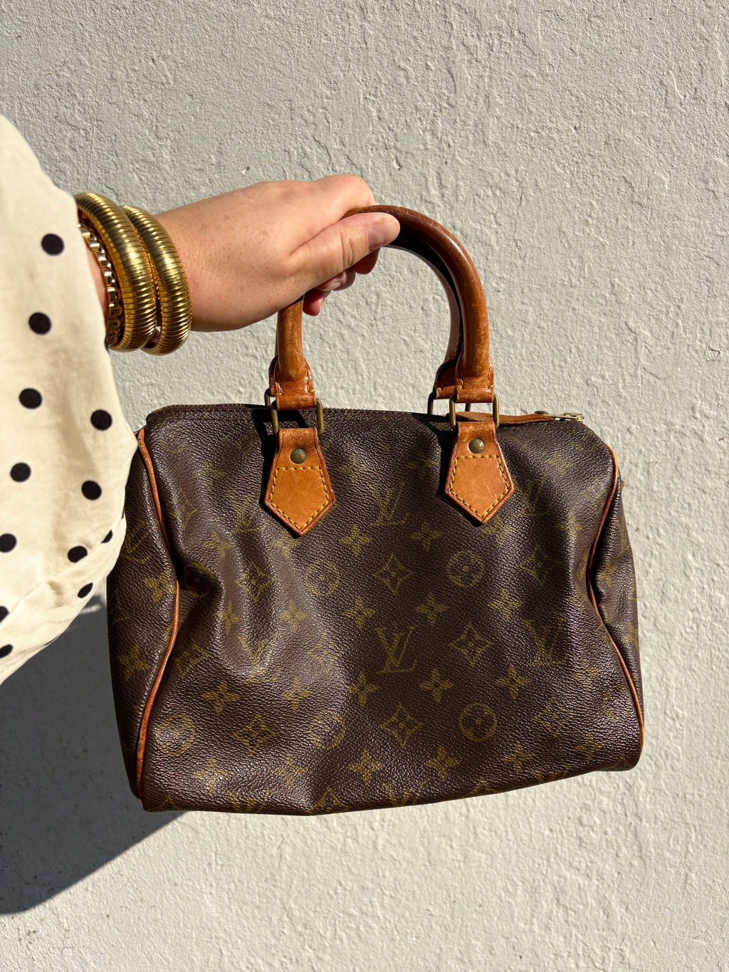 LV Monogram Speedy 25