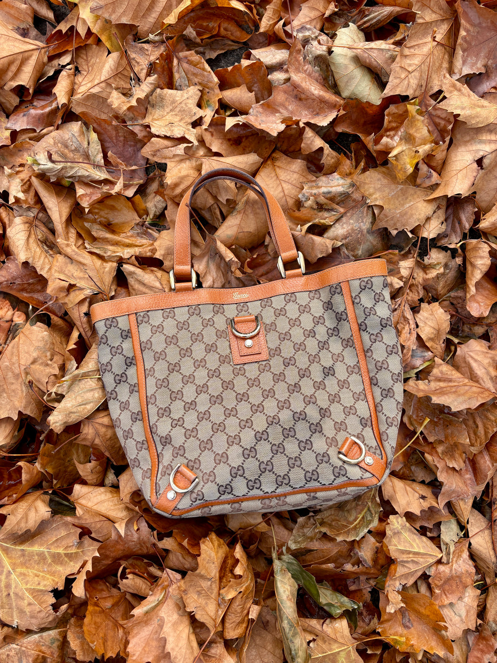 Gucci Abbey D-Ring Canvas GG