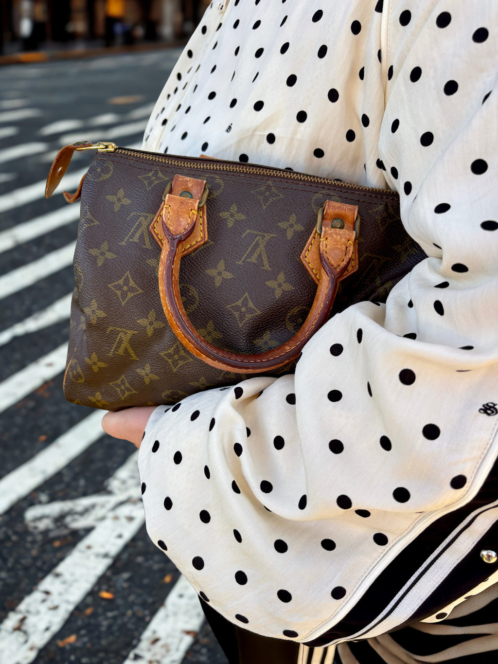 LV Monogram Speedy 25