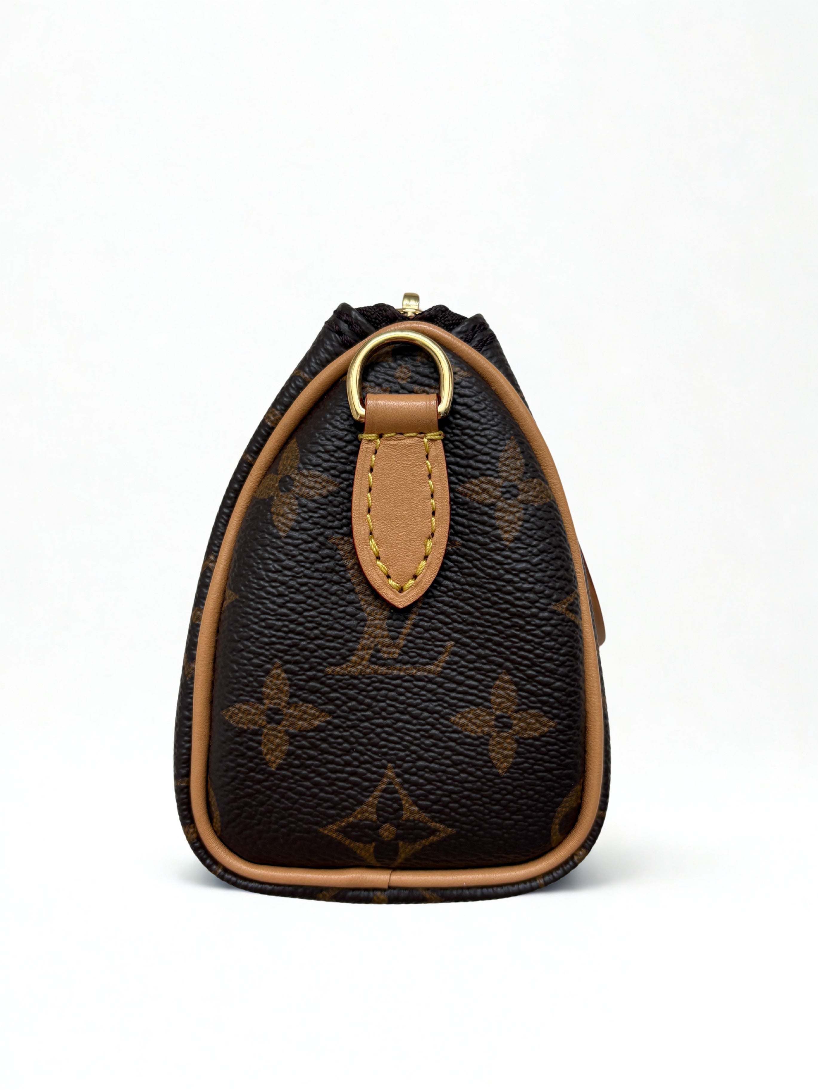 Louis Vuitton Nano Speedy Monogram