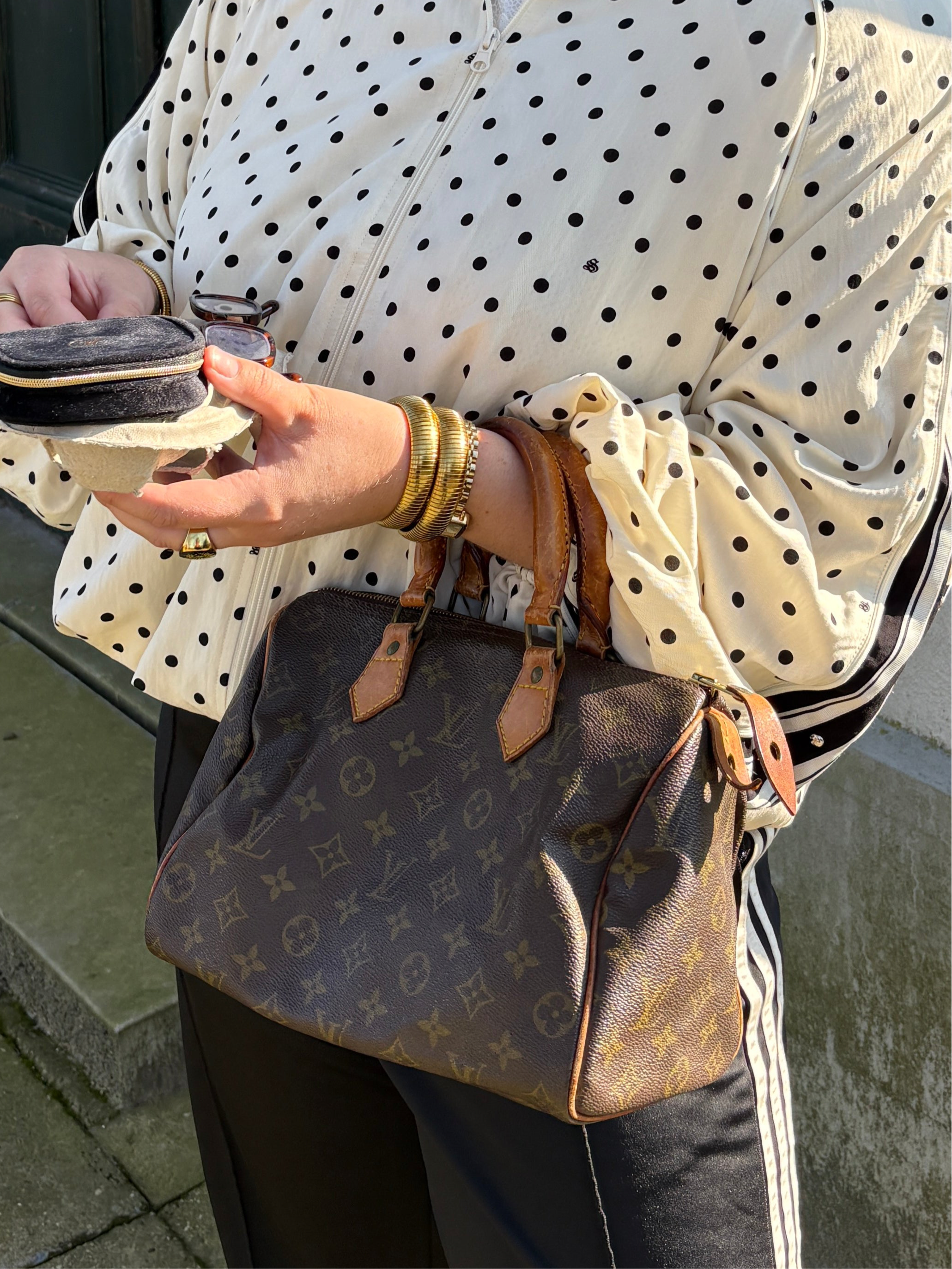 LV Monogram Speedy 25