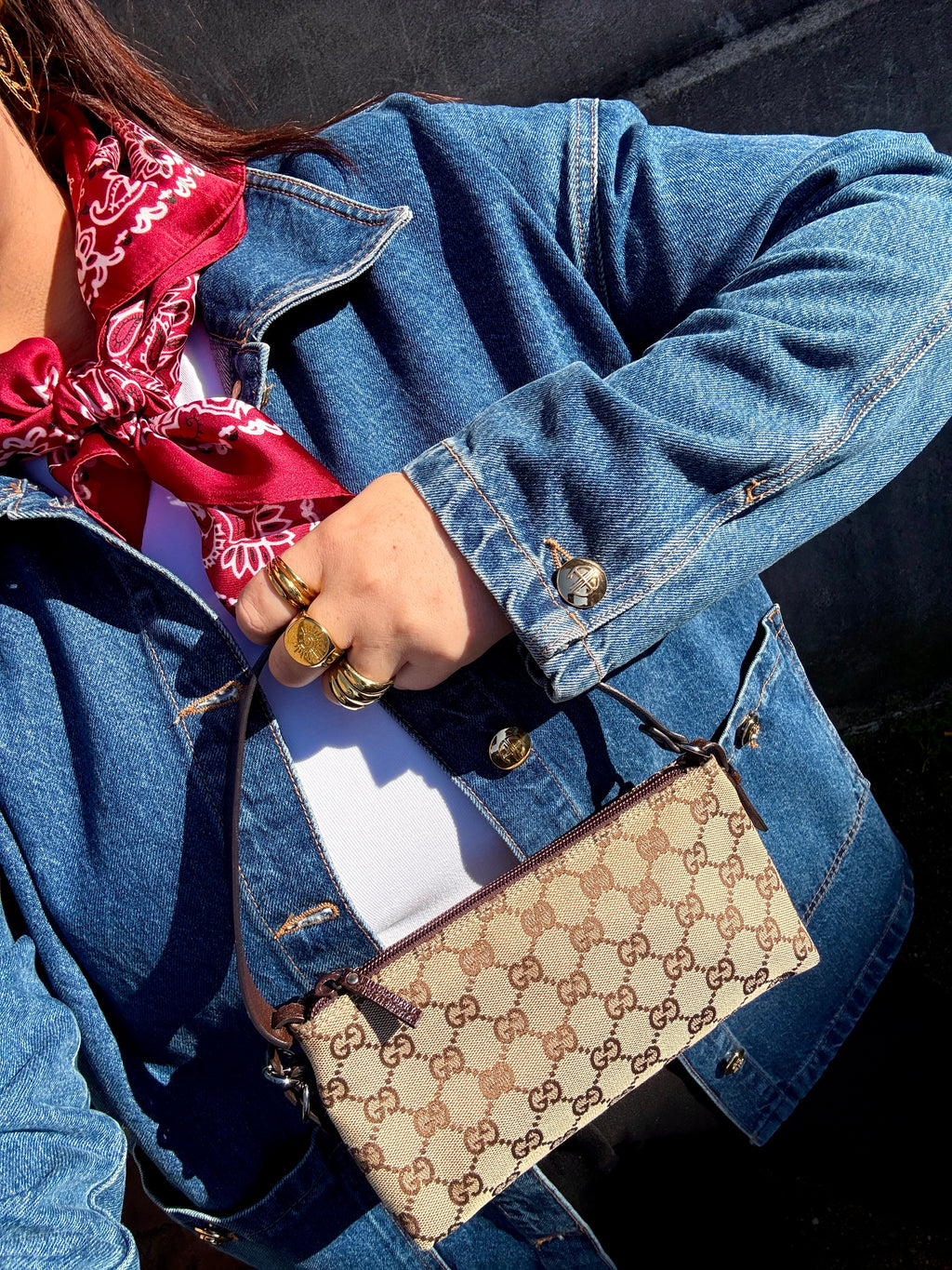 Gucci GG Monogram Canvas